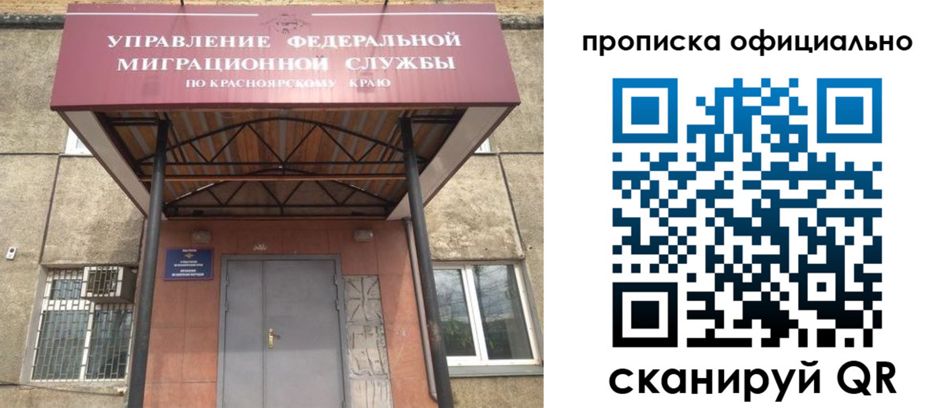 прописка поиск в Высоковске